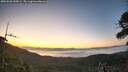 ./images/calvert/fitz-hugh-hecate/20260620/fitz-hugh-hecate20260620_045001M.jpg