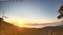 ./images/calvert/fitz-hugh-hecate/20260620/fitz-hugh-hecate20260620_053501M.jpg