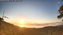 ./images/calvert/fitz-hugh-hecate/20260620/fitz-hugh-hecate20260620_054501M.jpg