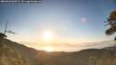 ./images/calvert/fitz-hugh-hecate/20260620/fitz-hugh-hecate20260620_062002M.jpg