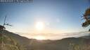 ./images/calvert/fitz-hugh-hecate/20260620/fitz-hugh-hecate20260620_063501M.jpg