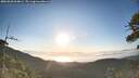 ./images/calvert/fitz-hugh-hecate/20260620/fitz-hugh-hecate20260620_064002M.jpg