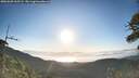 ./images/calvert/fitz-hugh-hecate/20260620/fitz-hugh-hecate20260620_065501M.jpg
