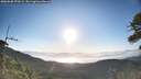 ./images/calvert/fitz-hugh-hecate/20260620/fitz-hugh-hecate20260620_070501M.jpg