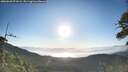 ./images/calvert/fitz-hugh-hecate/20260620/fitz-hugh-hecate20260620_071002M.jpg