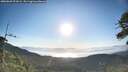 ./images/calvert/fitz-hugh-hecate/20260620/fitz-hugh-hecate20260620_072001M.jpg