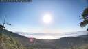./images/calvert/fitz-hugh-hecate/20260620/fitz-hugh-hecate20260620_073001M.jpg