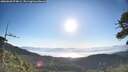 ./images/calvert/fitz-hugh-hecate/20260620/fitz-hugh-hecate20260620_074001M.jpg