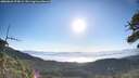 ./images/calvert/fitz-hugh-hecate/20260620/fitz-hugh-hecate20260620_075001M.jpg