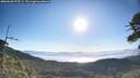 ./images/calvert/fitz-hugh-hecate/20260620/fitz-hugh-hecate20260620_075501M.jpg