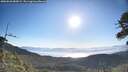 ./images/calvert/fitz-hugh-hecate/20260620/fitz-hugh-hecate20260620_080001M.jpg