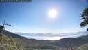 ./images/calvert/fitz-hugh-hecate/20260620/fitz-hugh-hecate20260620_081001M.jpg