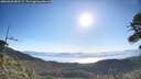 ./images/calvert/fitz-hugh-hecate/20260620/fitz-hugh-hecate20260620_081501M.jpg