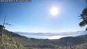 ./images/calvert/fitz-hugh-hecate/20260620/fitz-hugh-hecate20260620_082502M.jpg