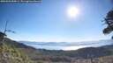 ./images/calvert/fitz-hugh-hecate/20260620/fitz-hugh-hecate20260620_084001M.jpg