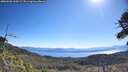 ./images/calvert/fitz-hugh-hecate/20260620/fitz-hugh-hecate20260620_100502M.jpg