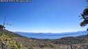 ./images/calvert/fitz-hugh-hecate/20260620/fitz-hugh-hecate20260620_114501M.jpg