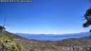 ./images/calvert/fitz-hugh-hecate/20260620/fitz-hugh-hecate20260620_135001M.jpg