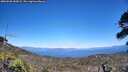 ./images/calvert/fitz-hugh-hecate/20260620/fitz-hugh-hecate20260620_150001M.jpg