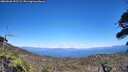 ./images/calvert/fitz-hugh-hecate/20260620/fitz-hugh-hecate20260620_152502M.jpg