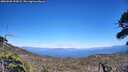 ./images/calvert/fitz-hugh-hecate/20260620/fitz-hugh-hecate20260620_154501M.jpg