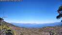 ./images/calvert/fitz-hugh-hecate/20260620/fitz-hugh-hecate20260620_163501M.jpg