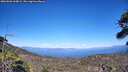 ./images/calvert/fitz-hugh-hecate/20260620/fitz-hugh-hecate20260620_164001M.jpg