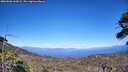 ./images/calvert/fitz-hugh-hecate/20260620/fitz-hugh-hecate20260620_164501M.jpg