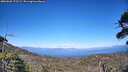 ./images/calvert/fitz-hugh-hecate/20260620/fitz-hugh-hecate20260620_173501M.jpg