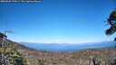 ./images/calvert/fitz-hugh-hecate/20260620/fitz-hugh-hecate20260620_174501M.jpg