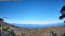 ./images/calvert/fitz-hugh-hecate/20260620/fitz-hugh-hecate20260620_190002M.jpg