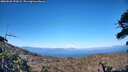./images/calvert/fitz-hugh-hecate/20260620/fitz-hugh-hecate20260620_192001M.jpg