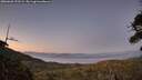 ./images/calvert/fitz-hugh-hecate/20260620/fitz-hugh-hecate20260620_222501M.jpg