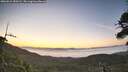 ./images/calvert/fitz-hugh-hecate/20260621/fitz-hugh-hecate20260621_050502M.jpg