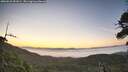 ./images/calvert/fitz-hugh-hecate/20260621/fitz-hugh-hecate20260621_051001M.jpg