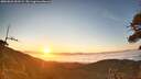 ./images/calvert/fitz-hugh-hecate/20260621/fitz-hugh-hecate20260621_053501M.jpg