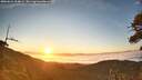 ./images/calvert/fitz-hugh-hecate/20260621/fitz-hugh-hecate20260621_054001M.jpg