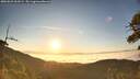 ./images/calvert/fitz-hugh-hecate/20260621/fitz-hugh-hecate20260621_061001M.jpg