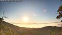 ./images/calvert/fitz-hugh-hecate/20260621/fitz-hugh-hecate20260621_062002M.jpg