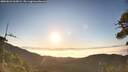 ./images/calvert/fitz-hugh-hecate/20260621/fitz-hugh-hecate20260621_063001M.jpg