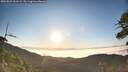 ./images/calvert/fitz-hugh-hecate/20260621/fitz-hugh-hecate20260621_063502M.jpg