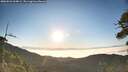 ./images/calvert/fitz-hugh-hecate/20260621/fitz-hugh-hecate20260621_064001M.jpg