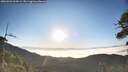 ./images/calvert/fitz-hugh-hecate/20260621/fitz-hugh-hecate20260621_064501M.jpg