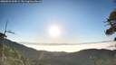 ./images/calvert/fitz-hugh-hecate/20260621/fitz-hugh-hecate20260621_065001M.jpg