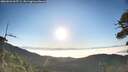 ./images/calvert/fitz-hugh-hecate/20260621/fitz-hugh-hecate20260621_065501M.jpg
