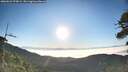 ./images/calvert/fitz-hugh-hecate/20260621/fitz-hugh-hecate20260621_070001M.jpg