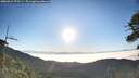 ./images/calvert/fitz-hugh-hecate/20260621/fitz-hugh-hecate20260621_070501M.jpg