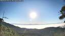 ./images/calvert/fitz-hugh-hecate/20260621/fitz-hugh-hecate20260621_071501M.jpg