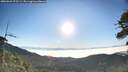 ./images/calvert/fitz-hugh-hecate/20260621/fitz-hugh-hecate20260621_072501M.jpg