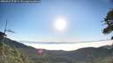 ./images/calvert/fitz-hugh-hecate/20260621/fitz-hugh-hecate20260621_073001M.jpg